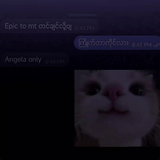 Master Angela in Mobile Legends: Tips and Tricks