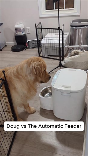 Doug's Hilarious Battles with the Automatic Feeder