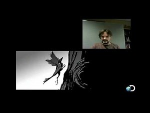 Dinosaur Revolution - Dinosaur Story Pitch