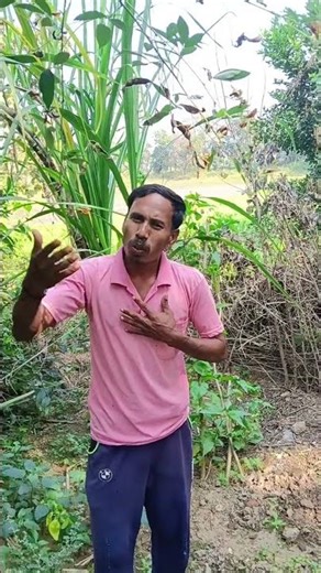 sad santali short #dialogue #shorts #shortvideo #short #shortsfeed#viral #viralvideo #viralvideos