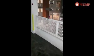 11K views · 41 reactions | Town council arranges weekly pest control treatment after report of rat sighting in Yishun carpark Read more here: https://bit.ly/2P9r6py | Stomp | Facebook