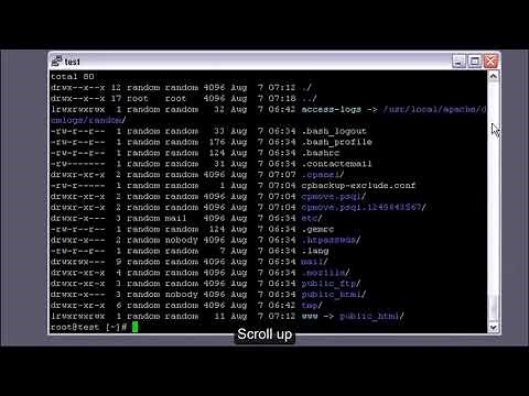 How to increase the scroll buffer size in PuTTY