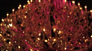 Check out the Laundry dresses on the red carpet! #LoveLaundry | Laundry by Shelli Segal | Facebook