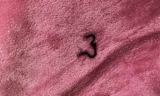 Visual Journal Entry :: February 25, 2026