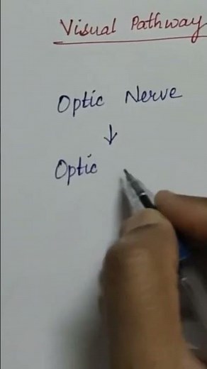 Visual pathway‪@NursingTutorial571‬