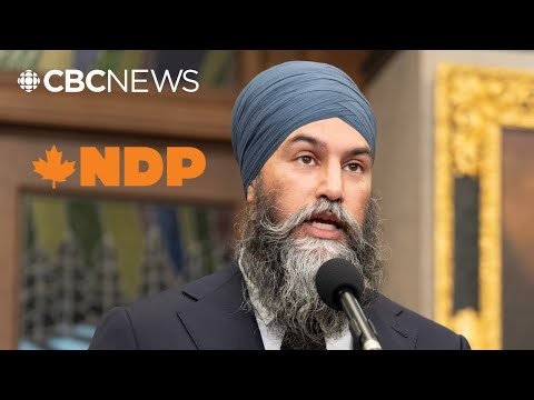Can the NDP survive the next federal election?