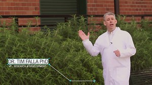 What if there were a skincare tool that enhanced your appearance and made your current skincare products work harder for you? Watch this video for a crash course on one of our most innovative products, REDEFINE AMP MD™, from Vice President of Research and Development Dr. Tim Falla. Watch the full version here: https://youtu.be/qs0MyVXq4M8. | Rodan Fields