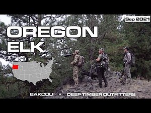 We Had Bulls All Around Us! | Oregon Elk Hunt