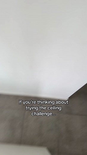 Avoiding the Ceiling Challenge Mishap: Molly Fabri's Experience