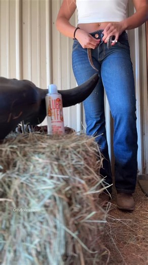Bailey B. on Instagram: "How I turned a $30 roping dummy into a $300K video 🐮 @heybaileybrewer"