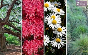 The Garden Pyramid for Planting Success