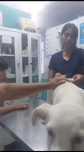 2.2K views · 64 reactions | Gracias a una persona de buen corazon es...