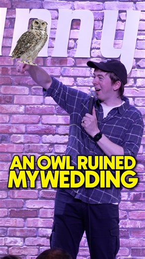 Chris Turner on Instagram: "and after all that, it pooped on the dress #standupcomedy #comedian #wedding #owls"