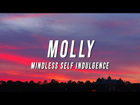 Mindless Self Indulgence - Molly (TikTok Remix) [Lyrics]