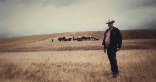 Bring Them Home:Mouse and the Buffalo