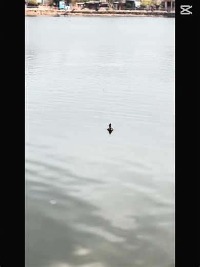 #fypシ #misekba#viral