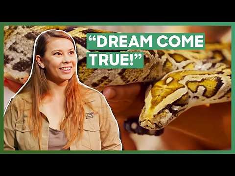🇦🇺 Australia Zoo Fulfils Steve Irwin’s Lifelong Dream! | Crikey! It’s the Irwins | Love Animals