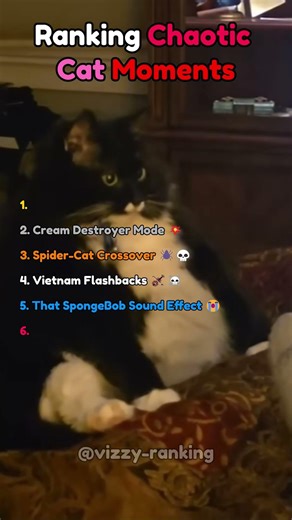 Ranking Cats That Glitched In Real Life 💀