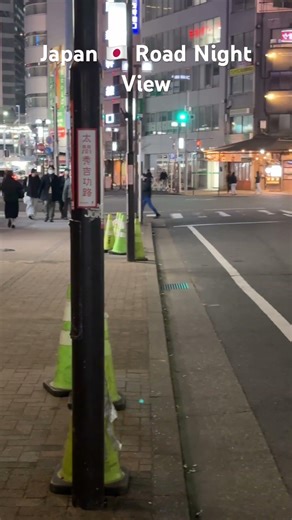 #shorts #shortvideo #japan #japanvlog #viral #japanese #travel #shortsfeed #japanview