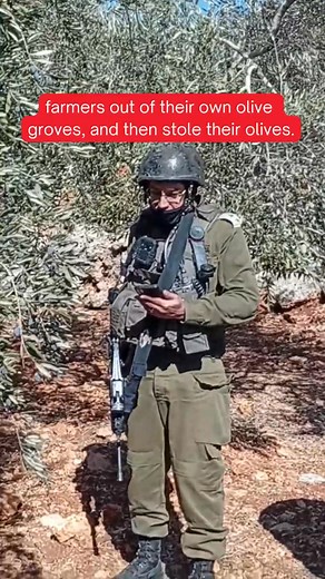 3.9K views · 256 reactions | October 31 in Sinjil, the Israeli...