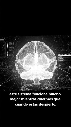 Tu cerebro se limpia mientras duermes…