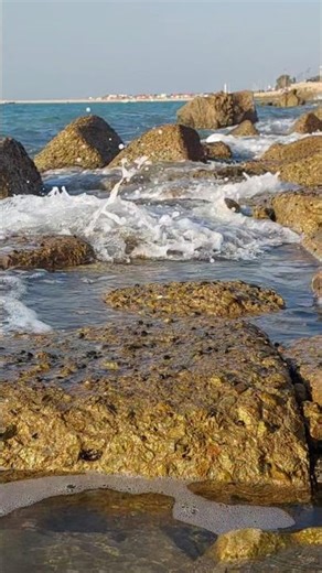 Ocean Waves for Deep Sleep Real Sea Sound for Relaxation, Meditation & Stress Relief #relaxingsound