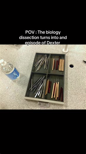 Sheep's Heart Dissection: A Unique Learning Experience