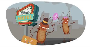 7 ways to build bustling bug hotels with children | Famly