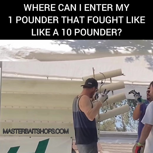 Shop fishing apparel at masterbaitshops.com 📷: @xarchxdawgx #fish #fishing #fisherman #fishermen #fishin #fishinglife #fishingmeme #fishingfunny #largemouthbass #bassfishing #stripedbass #trout #laketrout #pike #fishingfunny #bigfish #fishbras #fishingbabes #naturememes #fishingmemes #masterbaitshops | Master Bait Shops