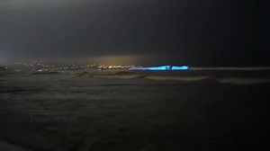 41K views · 576 reactions | Bioluminescent plankton | Marine Biology News | Facebook