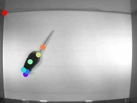 DeepLabCut サンプル動画の学習結果