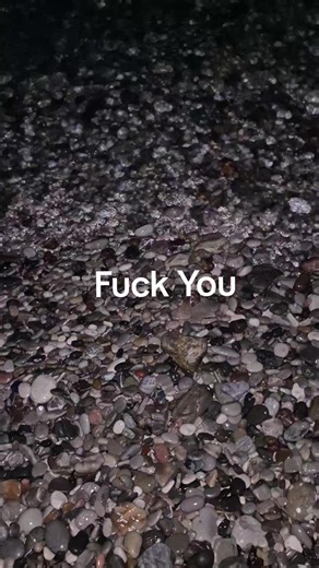 “Fuck You” cover sticker meaning and context
