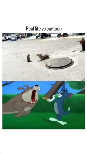 Real life vs Cartoon 😼🙀 Tom and Jerry.... #shortsfeed