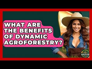What Are The Benefits Of Dynamic Agroforestry? - The World of Agriculture