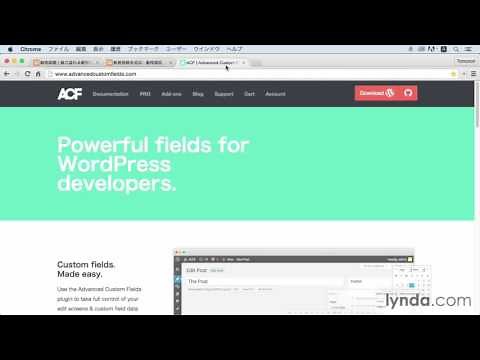 WordPressプラグイン:「Advanced Custom Fields（ACF）」って何？｜lynda.com 日本版