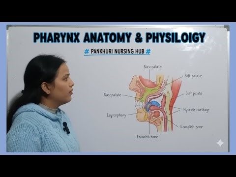 ||Nasal Cavity|| explained Anatomy and physiology of Nose|