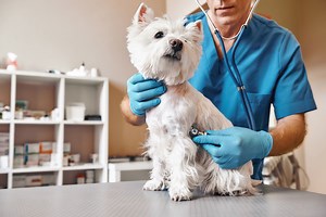 Melbourne Polytechnic - Restaurants