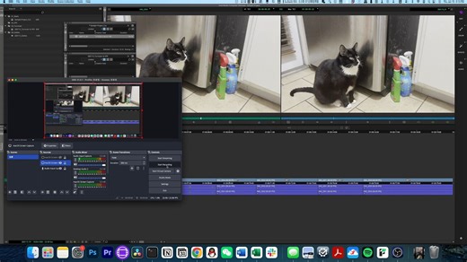 【Avid特效剪辑教程】两小时速成特效剪辑！自用版
