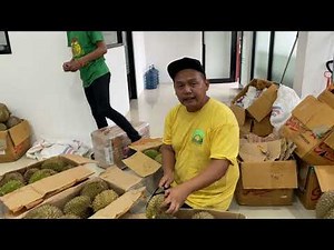 CARA PACKING DURIAN NAIK PESAWAT
