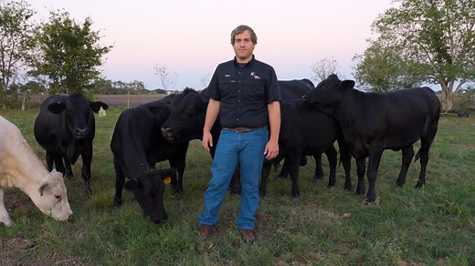 Meet Matthew March! Matthew is a County Extension Agent for Agriculture and Natural Resources in Polk County. He provides educational workshops and outreach events for local farmers, ranchers and landowners. He lives in Livingston and helps manage the family farm in Rosenberg, as well as manages his custom baling business. Matthew is a finalist in our Excellence in Agriculture contest. | Texas Farm Bureau