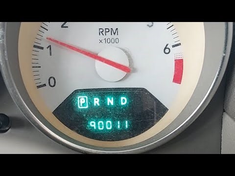 Closed due to primate change 🐒 ❄️