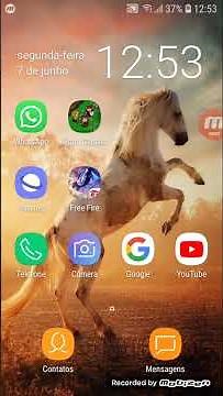 como entra no zap