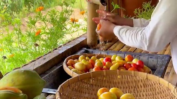 The tomatoes are ripe. Let’s cook dried fish braised in tomatoes | Joseph the Explorer