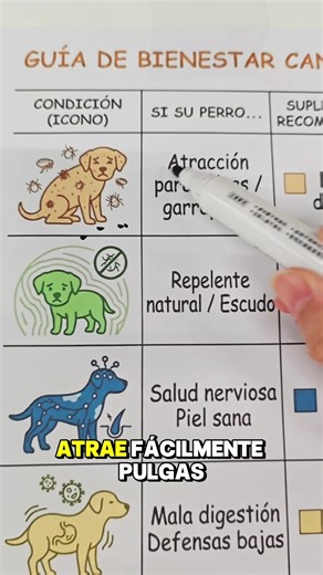 Spring Cleaning Tips for Your Home