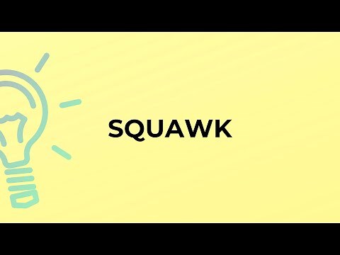 What is the meaning of the word SQUAWK?