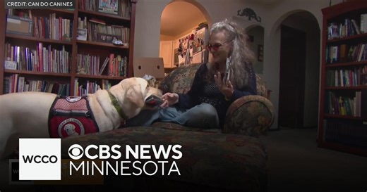 How assistance dogs can provide people with valuable support