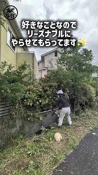 #伐採 #庭木伐採 #ビフォーアフター #職人技 #作業動画 #チェンソーマン#特殊伐採 #林業 #危険伐採