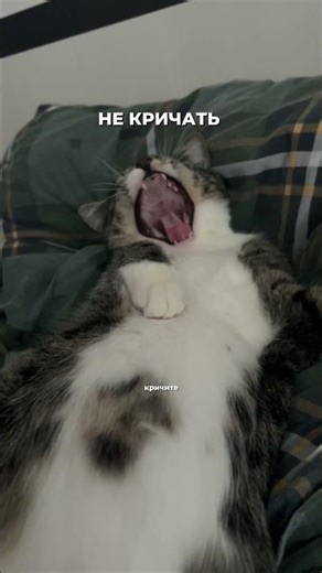 The part number for the original neutralizer is #WW328567 (just copy and paste it onto the WW web...