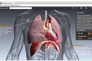 为医院及科研机构提供人体生理结构3D数据，BioDigital融资400万美元-36氪
