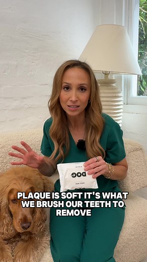 Help prevent plaque and bad breath without the hassle of a toothbrush with our brand new Dental Wipes. These are a gum-changer — practical and easy to use, with a fresh minty flavour. Try them now 30% off during our Black Friday Sale! | DOG by Dr Lisa | Facebook